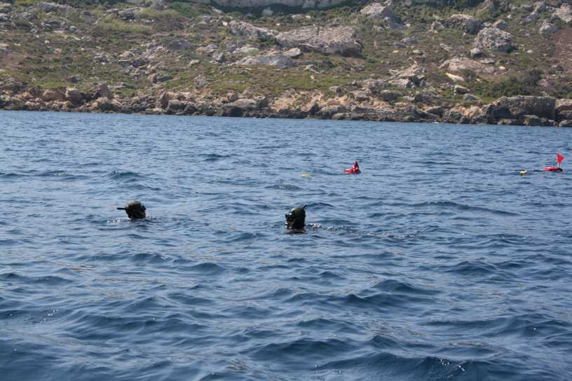 More from the Competition