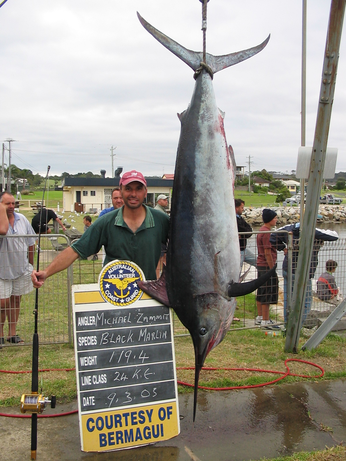 119kgs Black Marlin