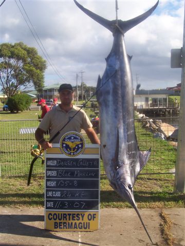 135kgs Blue Marlin