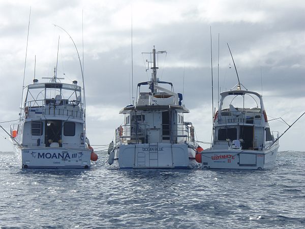 Some offshore fishing boats in Oz