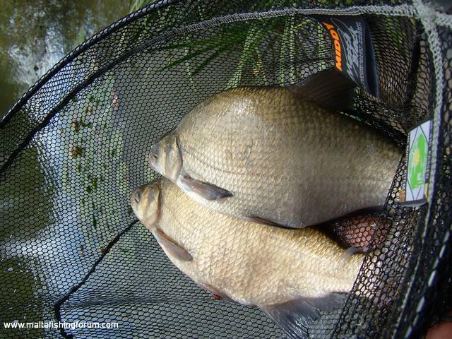 Fishing in England. Surrey.