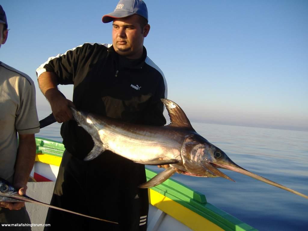 13 kg Sword which surprised me at 5am