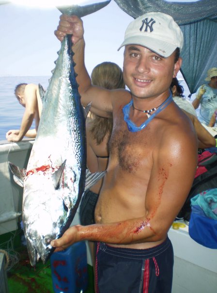 Kubrita also known as False Albacore