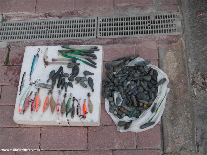 Close up of todays catch