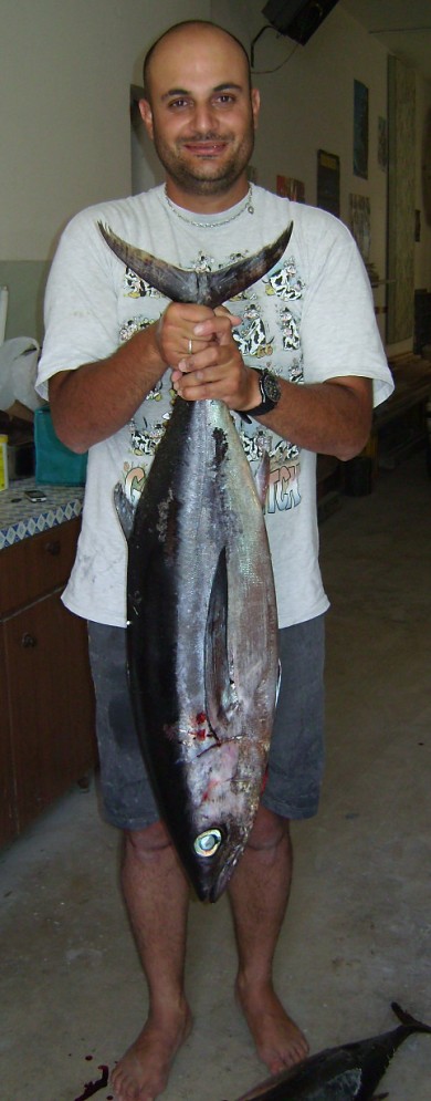 14kg Albacore Tuna