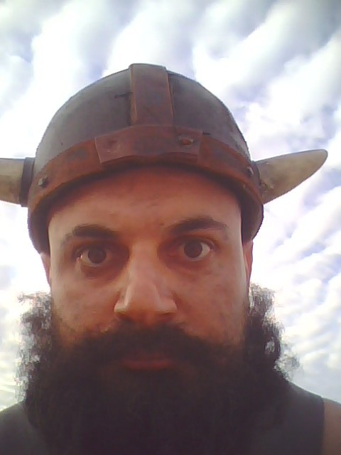 Baghira the Viking