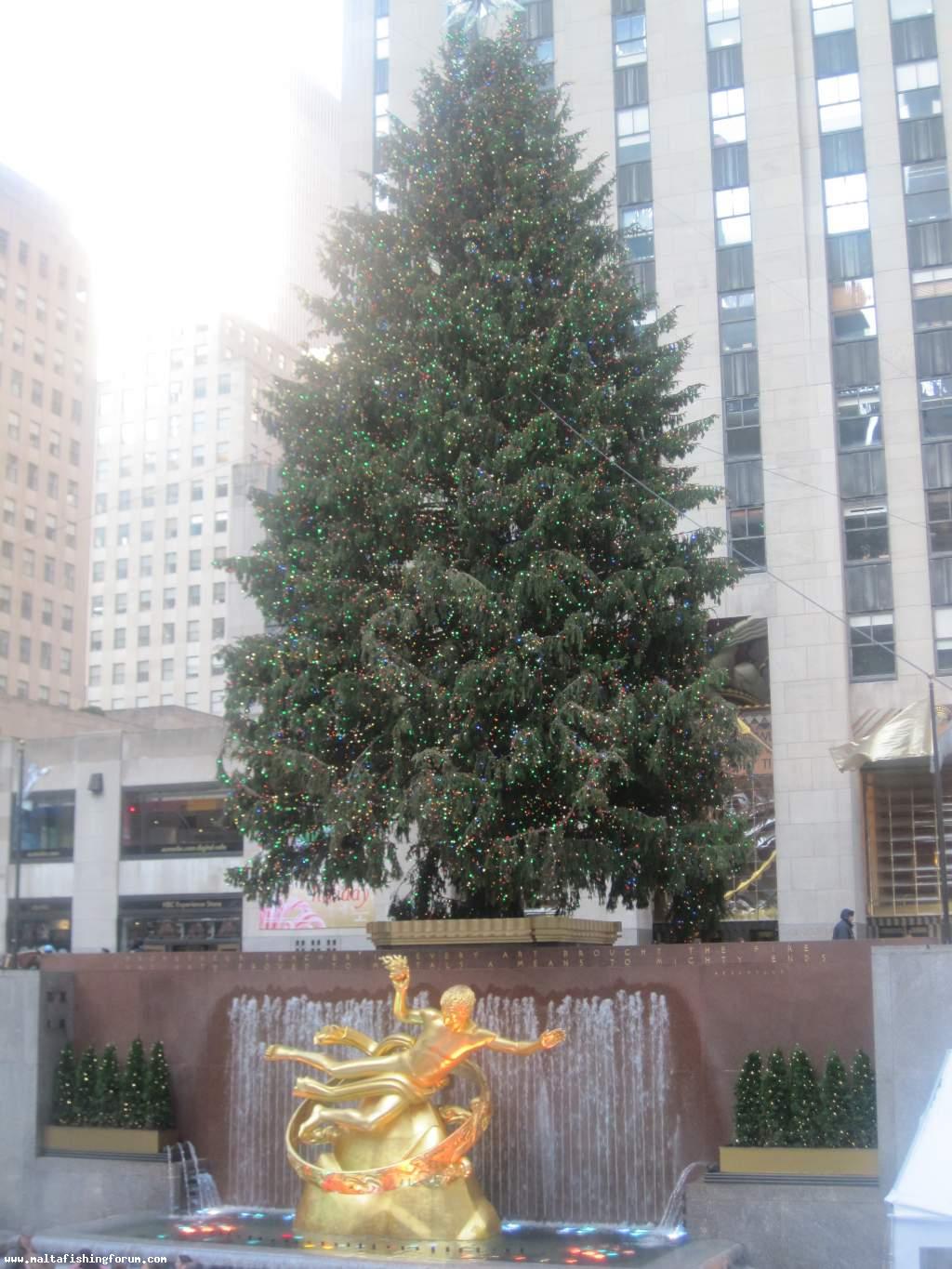 Rockerfeller Christmas Tree 2009