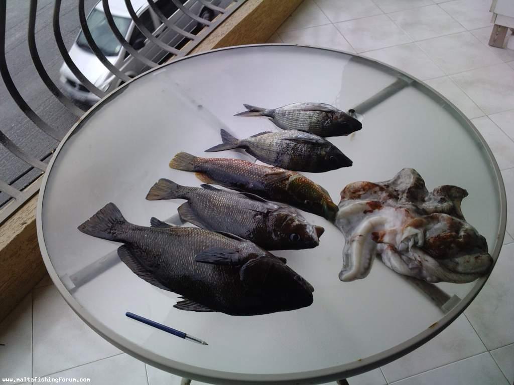 Breathless and D - Todays catch :-)