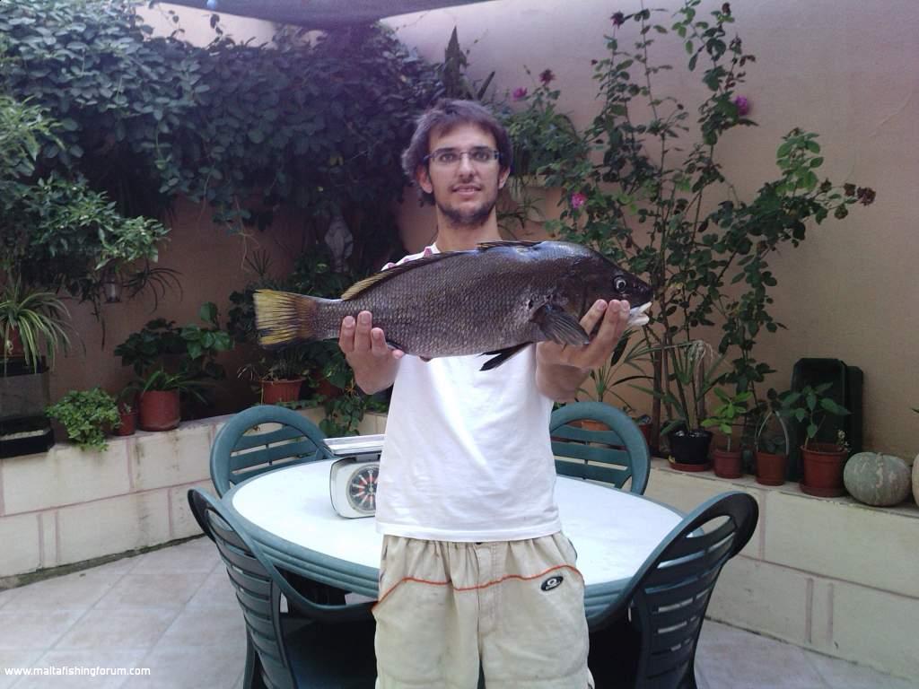 A 2.3Kg gurbell caught last saturday