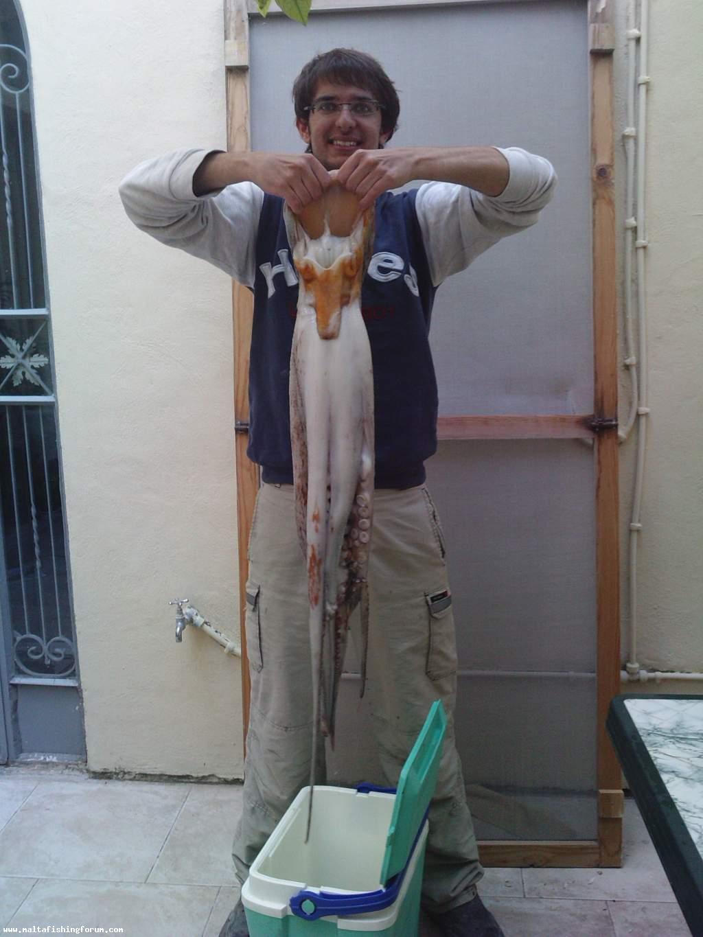 A huge 7.1 Kg octopus caught last Saturday