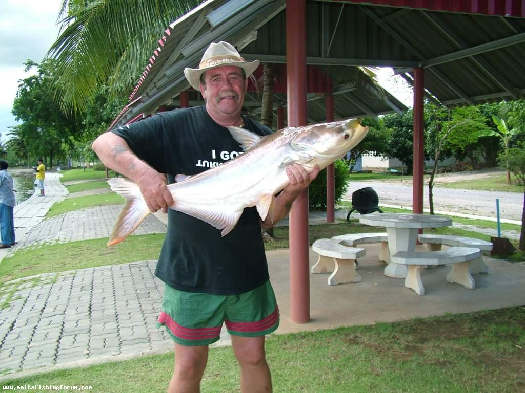 Mekong Catfish