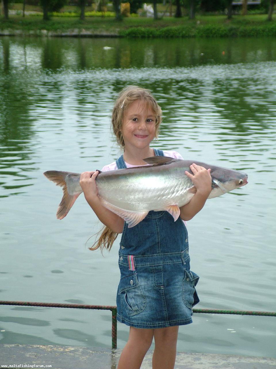 Mekong Catfish