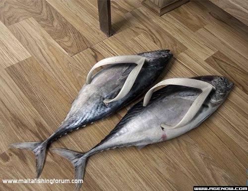 Flip Flop Specjali