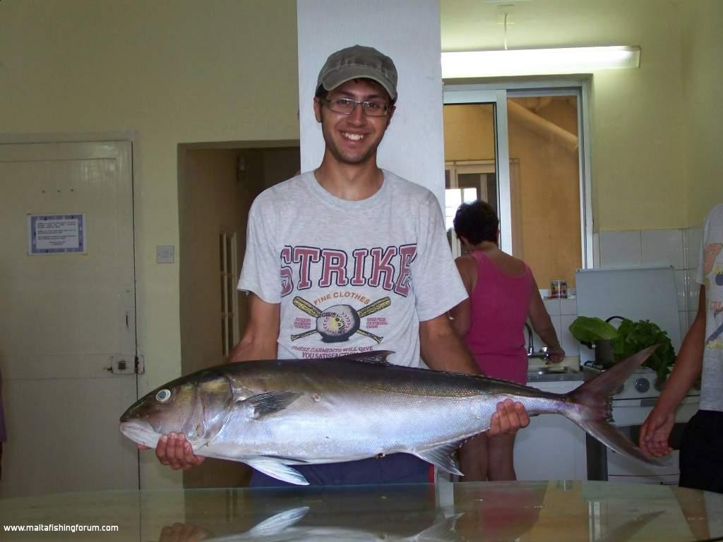 Accola (Amberjack) 16/07/2009