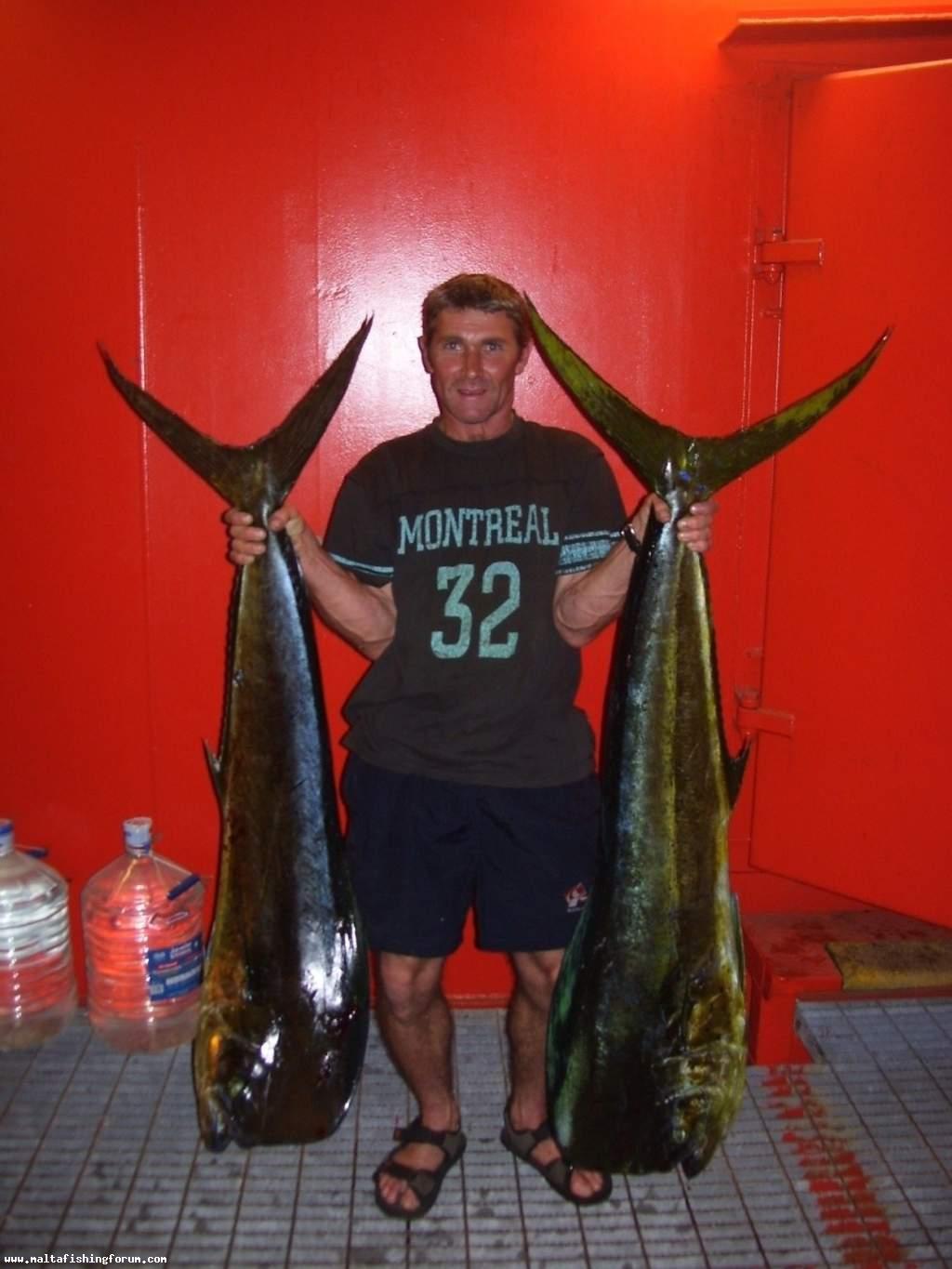 Monster Dorados caught offshore in Libya