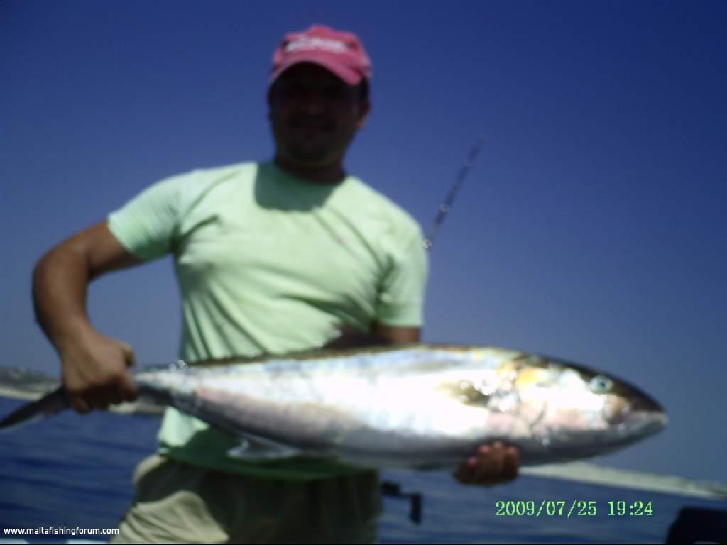 cla144 amberjack 10kg