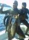 the catch