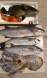 10 hours spearfishing day me and emic.