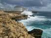 Free Port swells