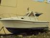 Our new boat 1