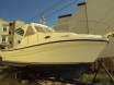 Our new boat 2