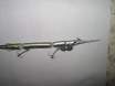msell lure
