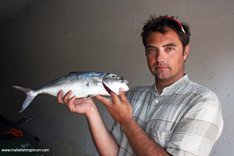 Simon G and his Amberjack