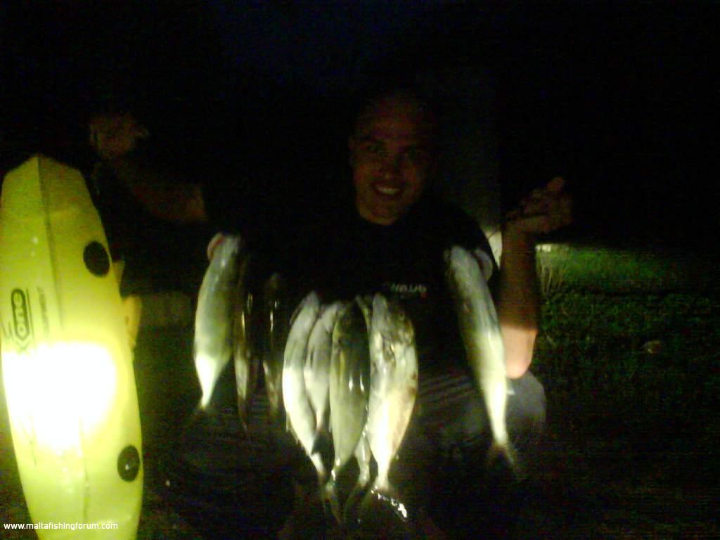 cervjol, sawrell, sargu