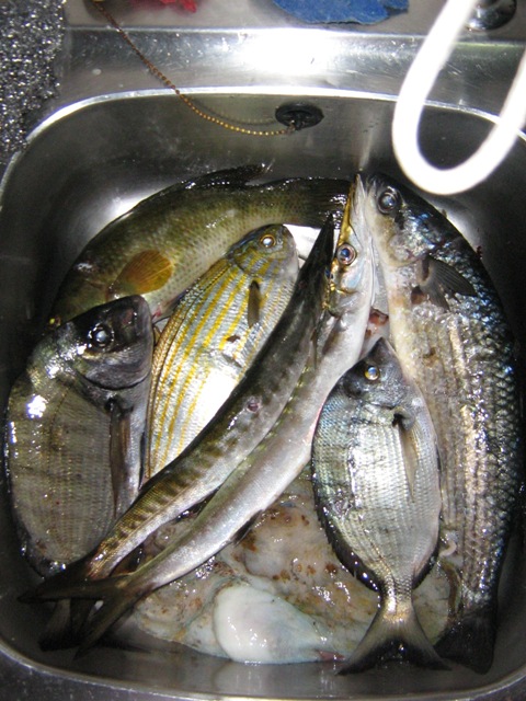 2-June 08