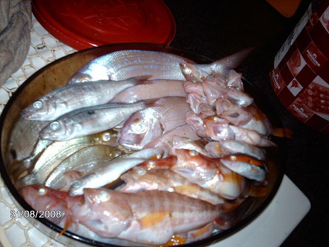 Mixed fish