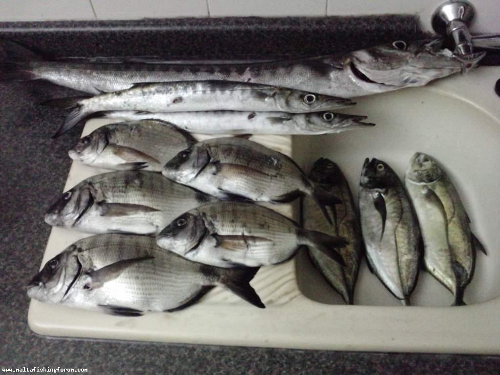 D and Breathless yesterdays catch.....