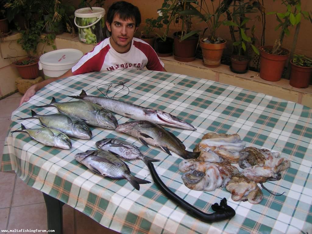 November is looking good :-)