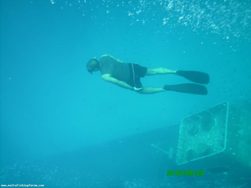 freediving with my friend baghira on a reck