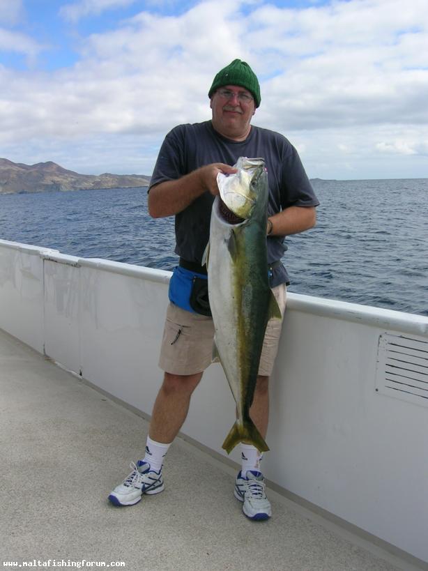 Yellowtail (Amberjack)