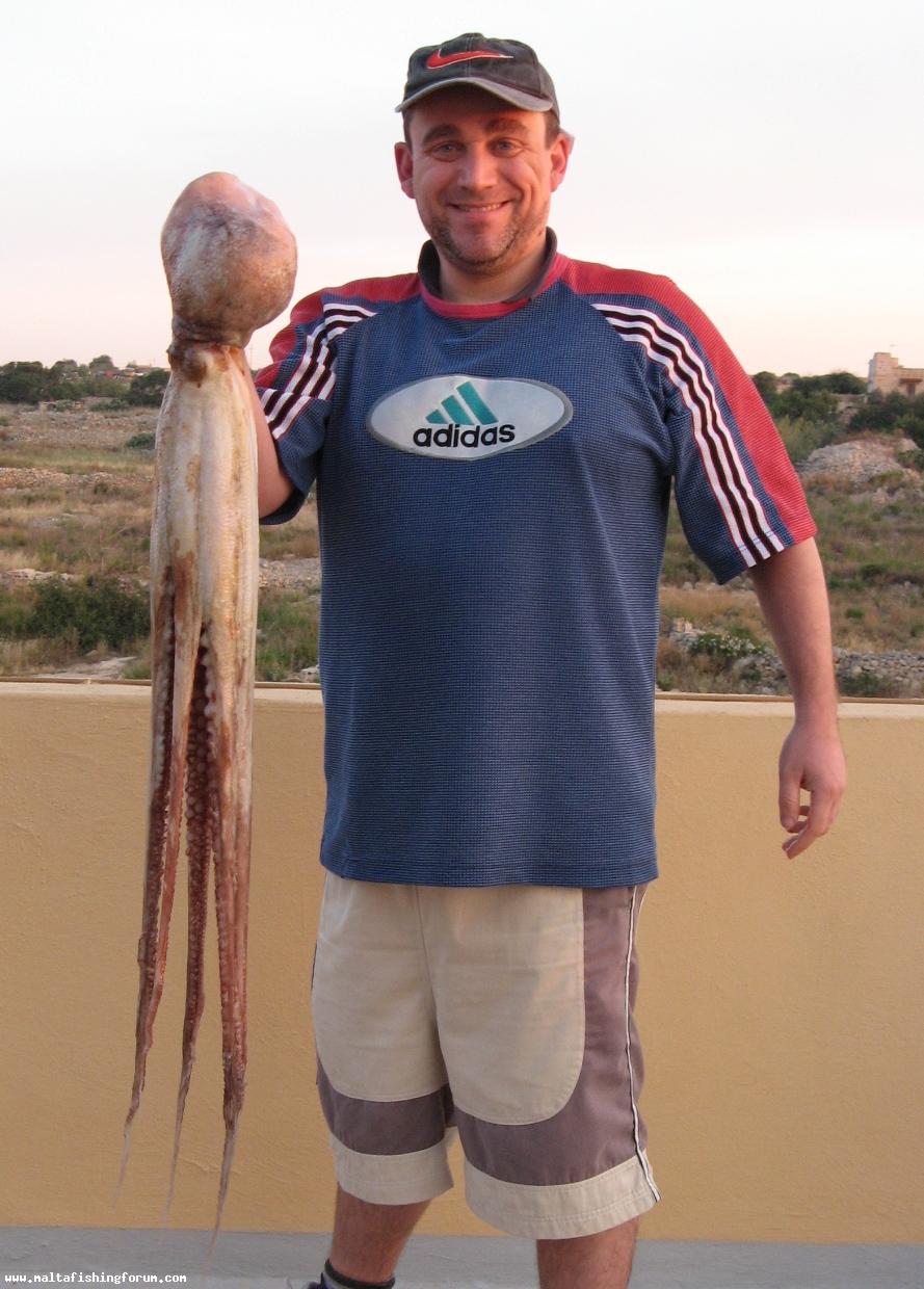 4Kg300 Octo