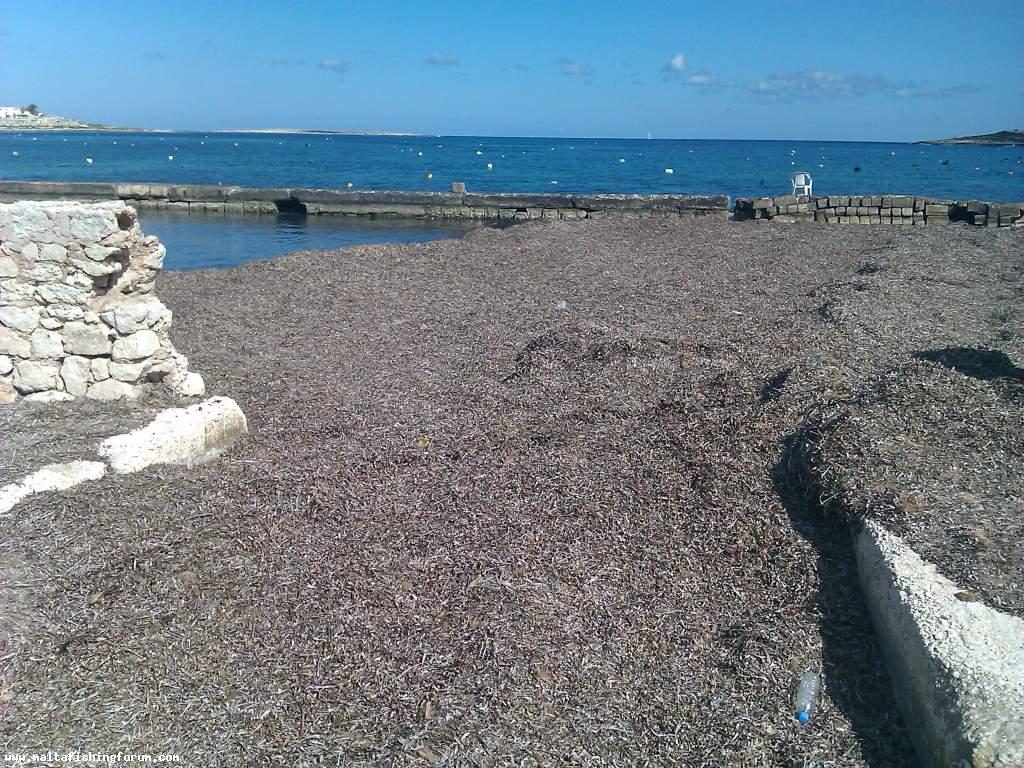 slipway salini