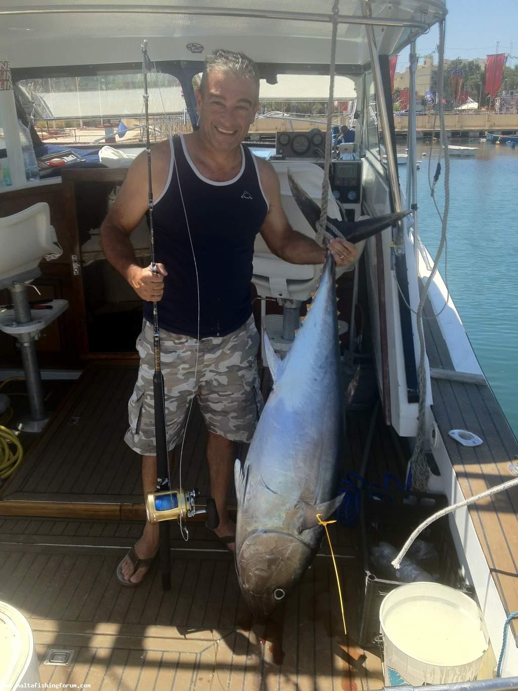 Bluefin Tuna