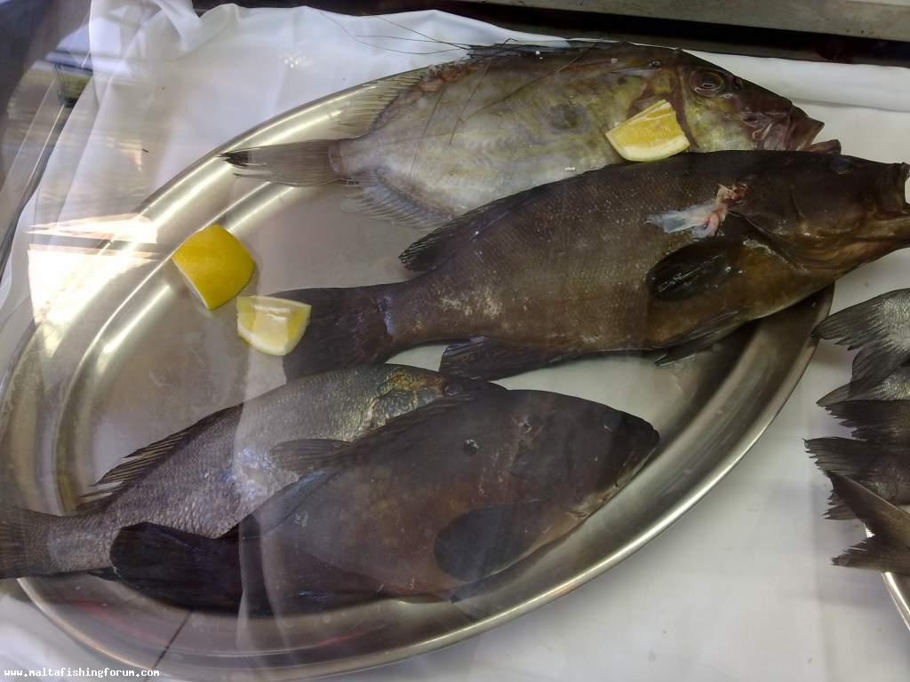 pic taken at a restaurant in msida...... shameful