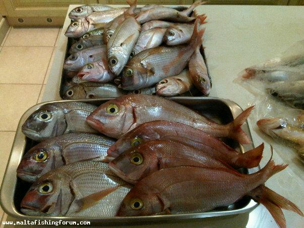 Our Catch from lampedusa