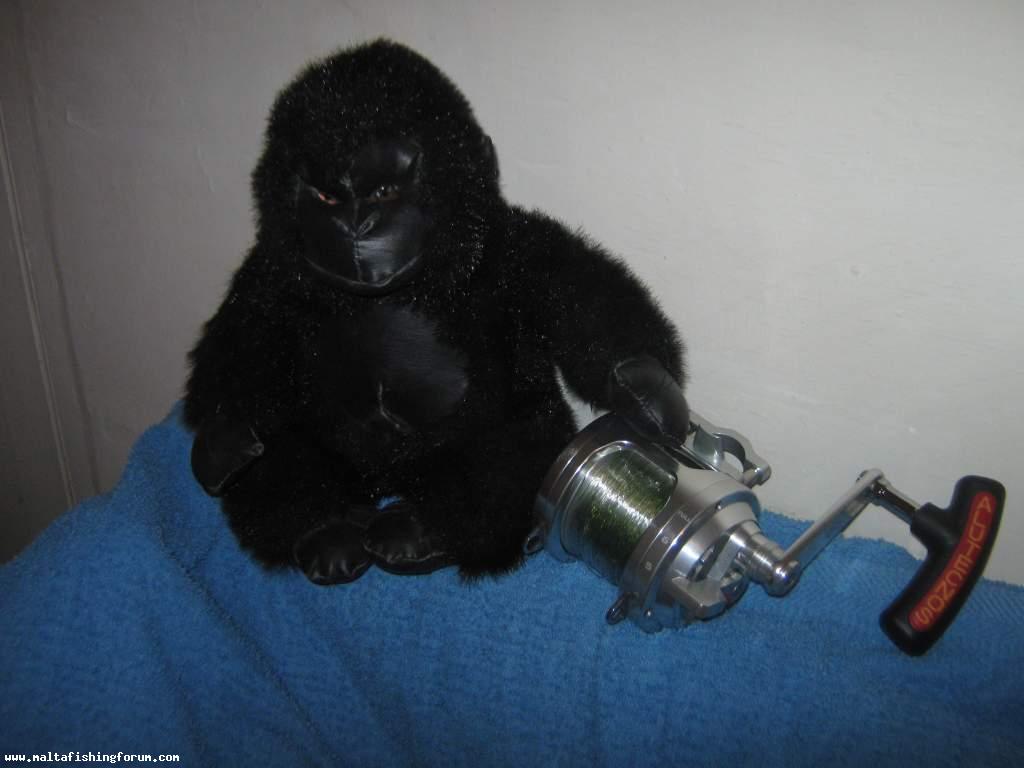 Gorilla 20 and Friend