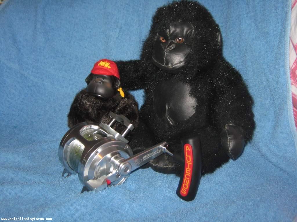 Gorilla 20 and 2 Friends