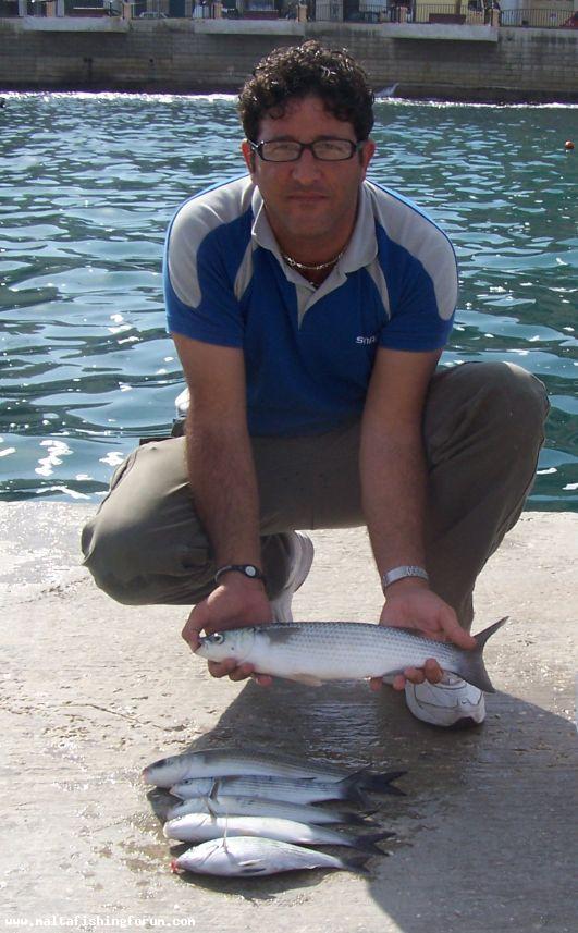 mullet from st julians