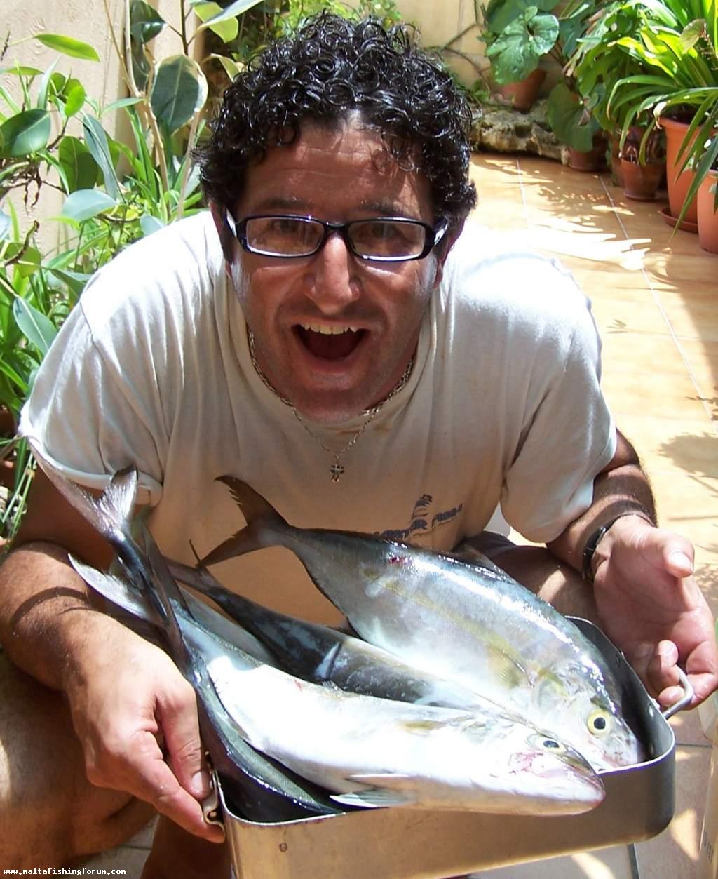 a decent catch of small amberjacks