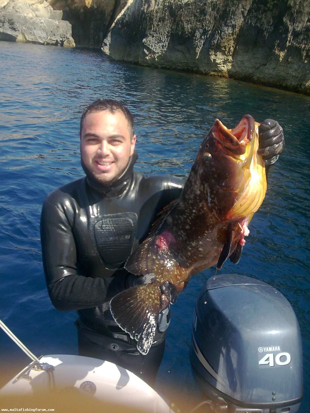 8Kg Grouper