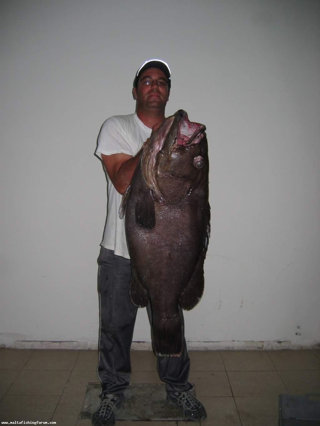 27 kg dott caught with kristal fishing xl410