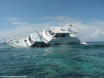 Reef