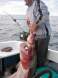 MURUNA CAUGHT WITH KRISTAL FISHING XL 410