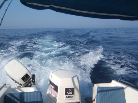 trolling for albacore