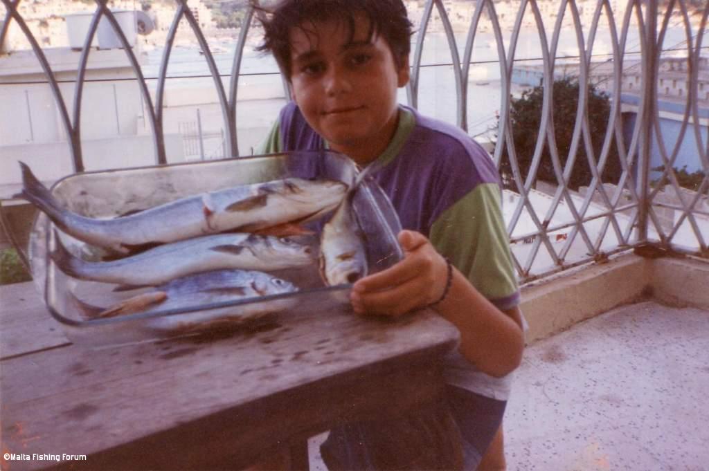 Mixed fish caught with rixa when young (xemxija)