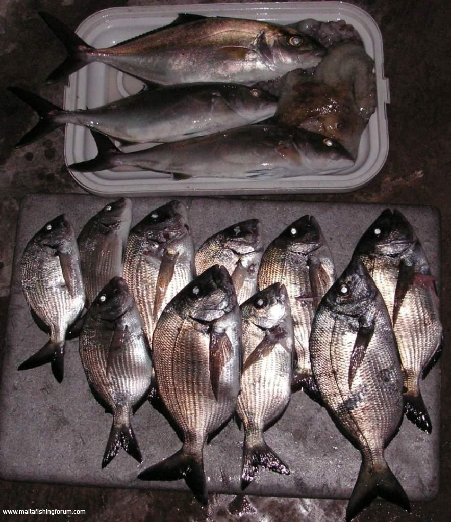 2nd jan my first day out